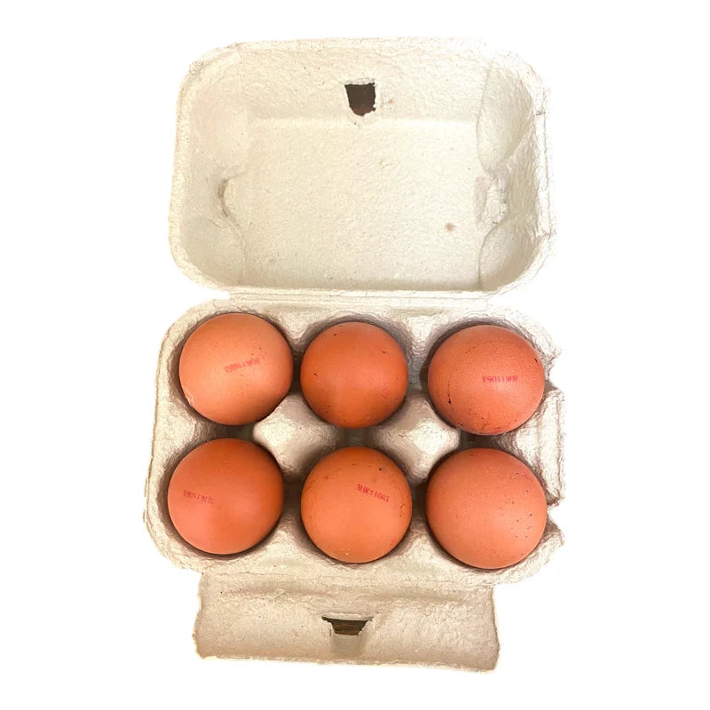 Large Eggs 6 pack